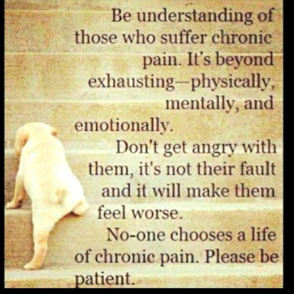 💖 Salt & Pepper Smokey Bear, TROUT Vintage - Picture 8 of 16